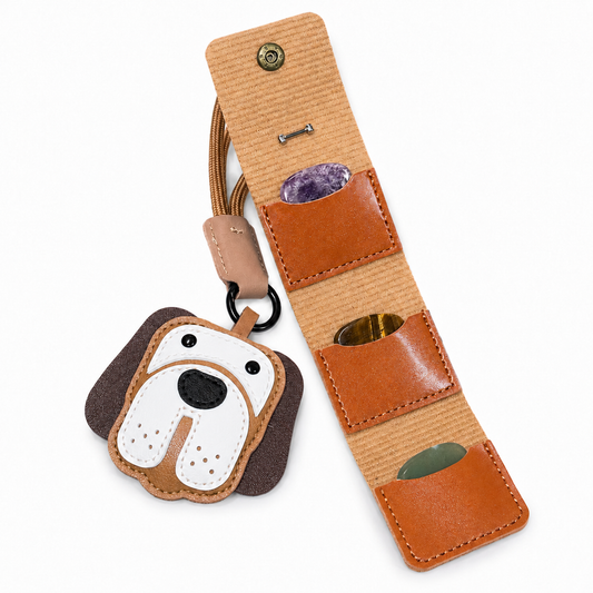 PICKLAB Guitar Picks Holder